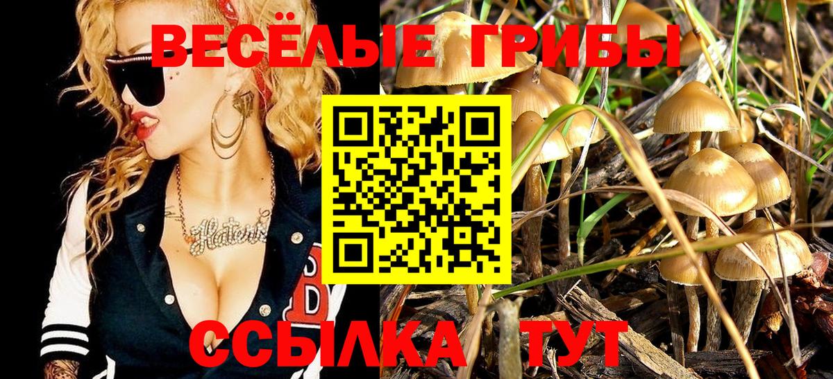 Галлюциногенные грибы ЛСД Канаш