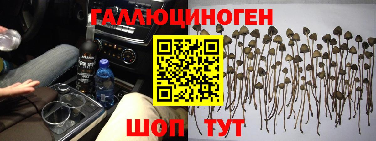 Канаш  Псилоцибиновые грибы GOLDEN TEACHER  Галлюциногенные грибы мухоморы  Вход с VPN 